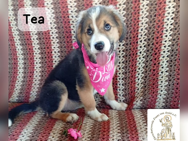 Tea – zu jung, um die Welt allein zu erobern!