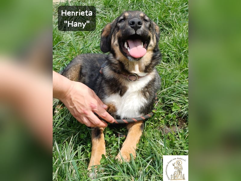 Hany – neugierig, frech und unwiderstehlich!