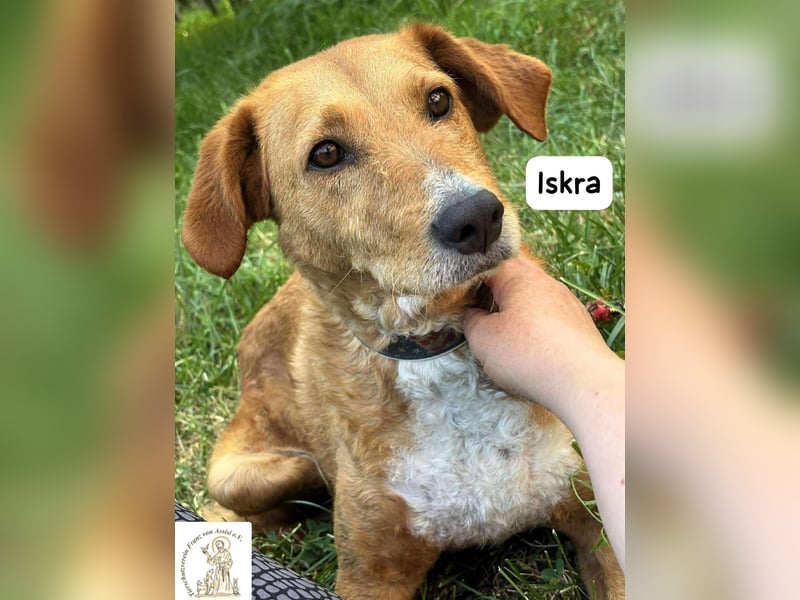 Iskra – Wenn Lebensmut Flügel bekommt!