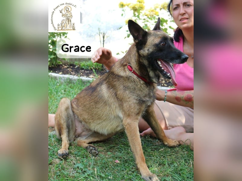 Grace – Köpfchen, Power und definitiv Pfeffer im Hintern!