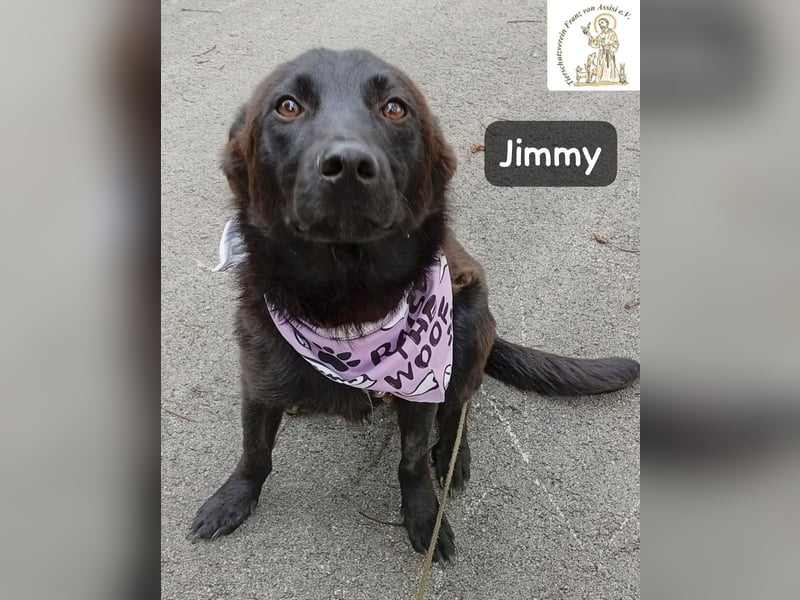 Jimmy – Aufgeben? Kam für ihn nie infrage!