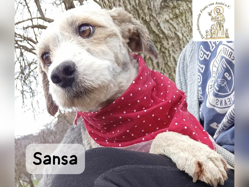 Sansa – der Neuanfang steht ihr einfach gut!