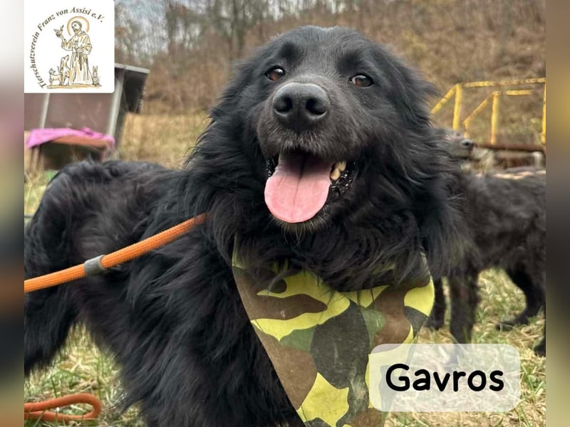 Gavros – einer, der das Leben erst noch richtig entdecken möchte!