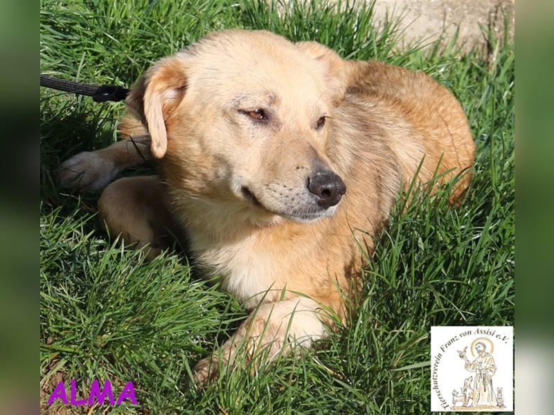 Alma – kleiner Sonnenschein