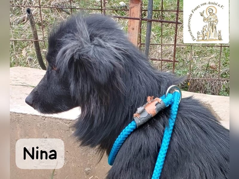 Nina – ein Platz zum Durchatmen gesucht!
