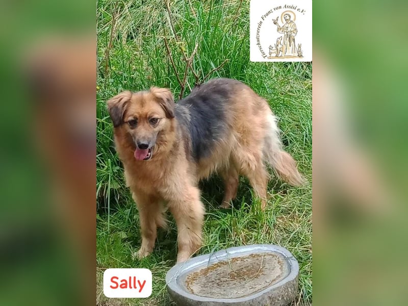 Sally – ein leiser Anfang von etwas Schönem