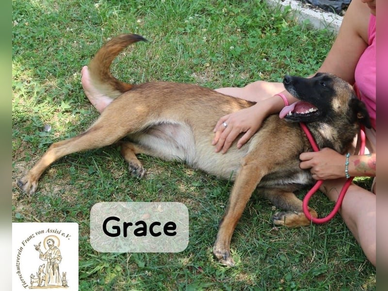 Grace – Köpfchen, Power und definitiv Pfeffer im Hintern!