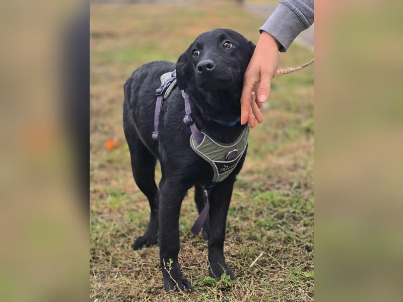 Odin ❤️ kleiner Held