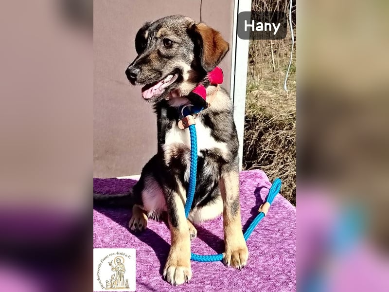 Hany – neugierig, frech und unwiderstehlich!