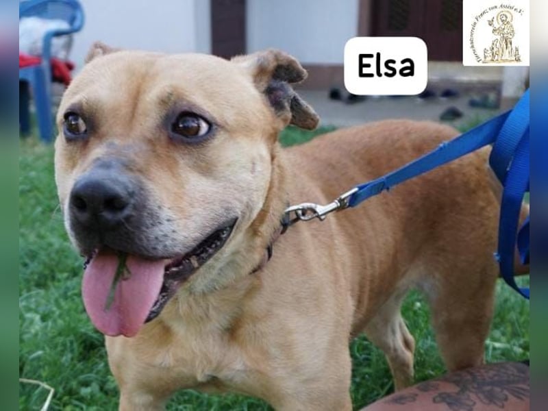 Elsa – Kuscheln, Freiheit und Abenteuer: Elsas Rezept fürs Glück!