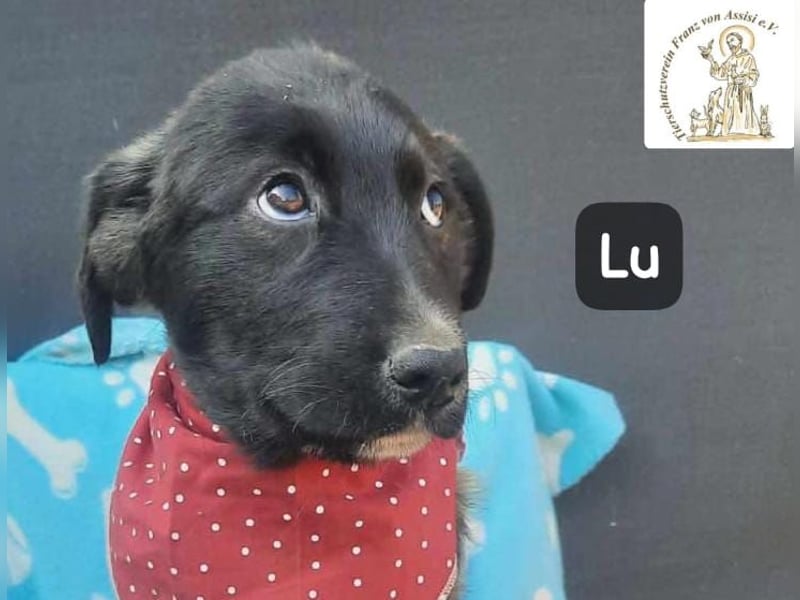 Lu – kleine Entdeckerin mit dem Kopf voller Ideen!