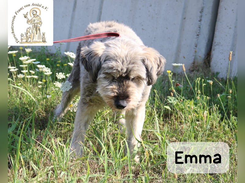 Emma – manche Herzen werden einfach nie alt!