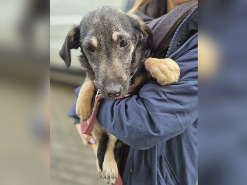 Zana – kleines Wesen mit großen Gefühlen!