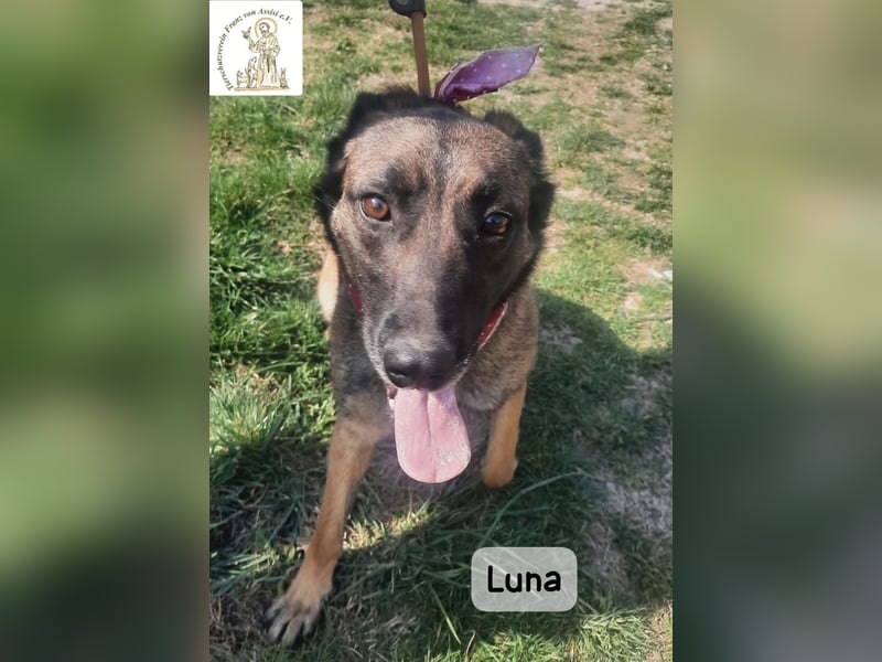 Luna – Köpfchen, Power und definitiv Pfeffer im Hintern!