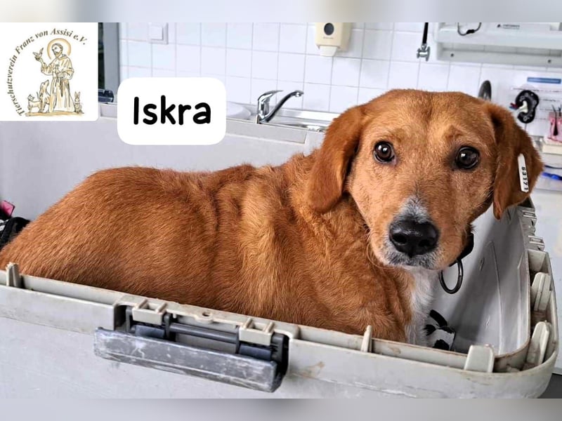 Iskra – Wenn Lebensmut Flügel bekommt!