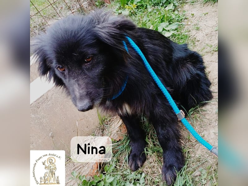 Nina – ein Platz zum Durchatmen gesucht!
