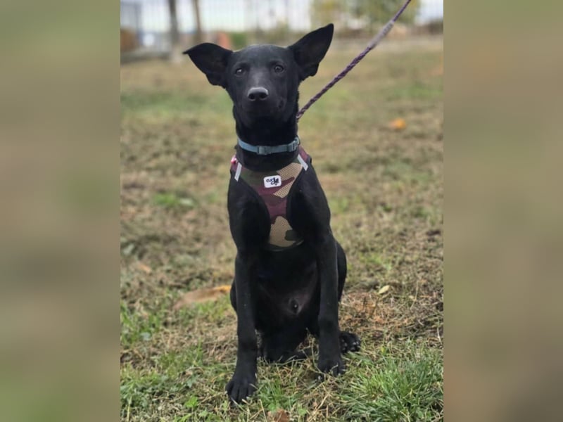 Aron❤️menschenverliebter Jungspund