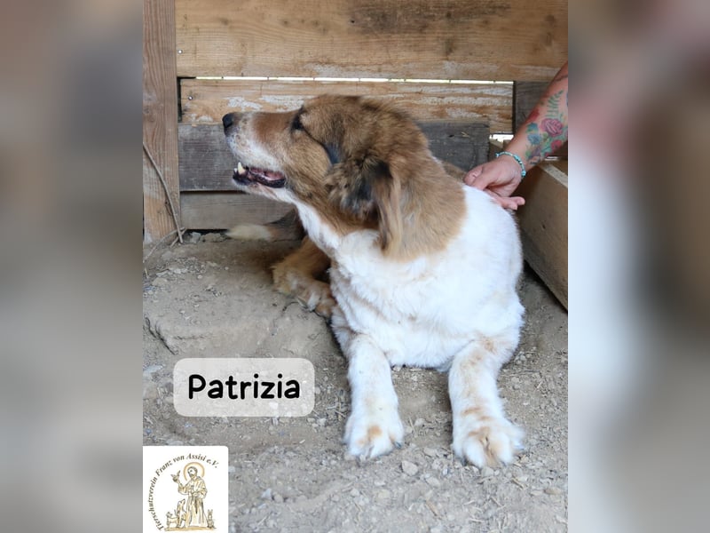 Patrizia – Glück bedeutet manchmal einfach, zusammen zu sein!