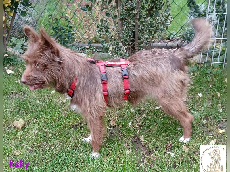 Kelly –  die Frohnatur