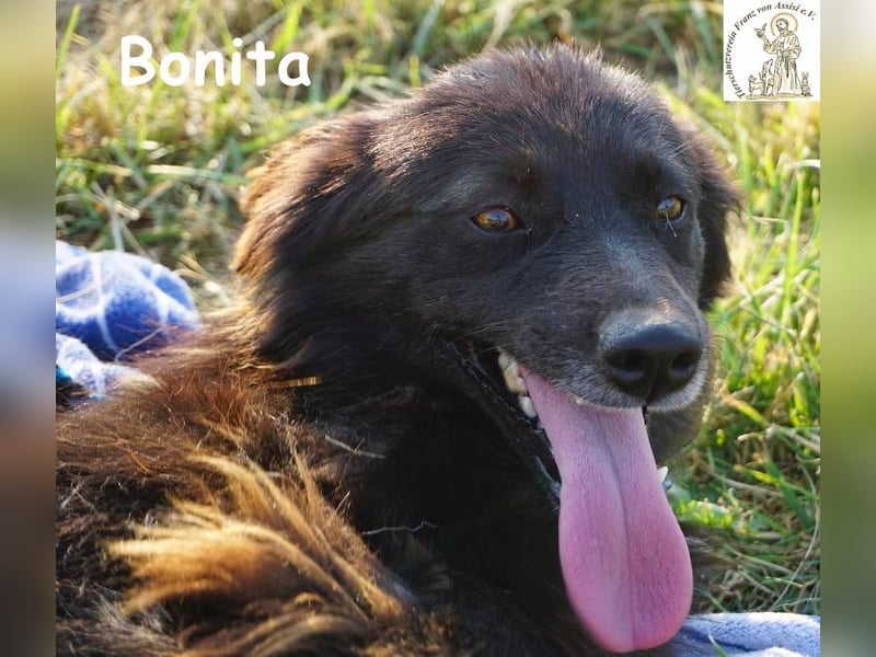 Bonita – Junges Mädchen mit Flair und Stil!