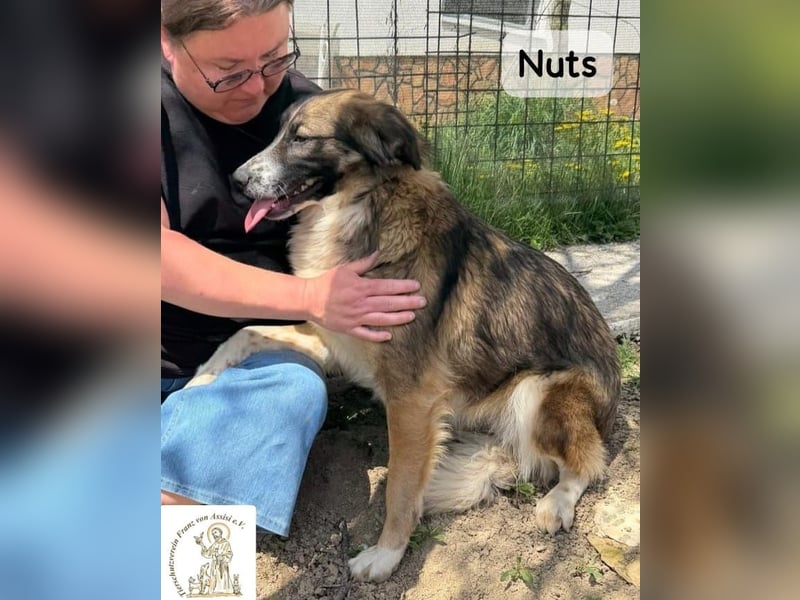 Nuts – manche Seelen tragen ihren Zauber ganz leise!