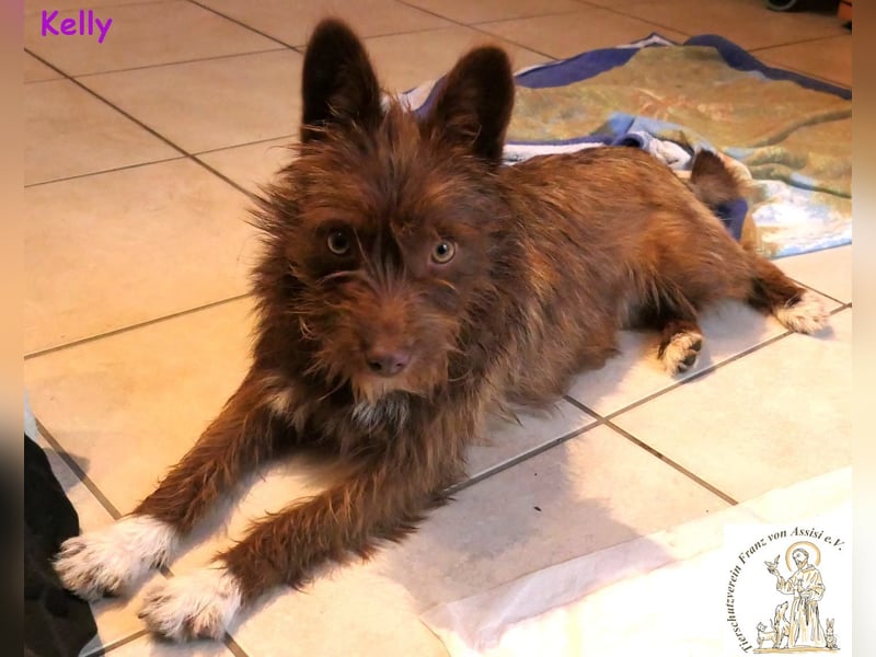 Kelly –  die Frohnatur