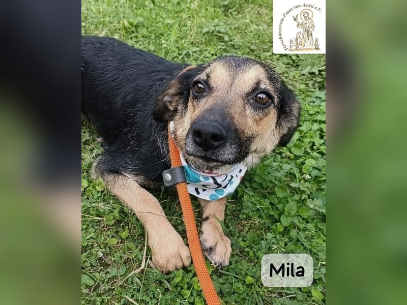 Mila – Heldinnen können auch manchmal ganz klein sein!