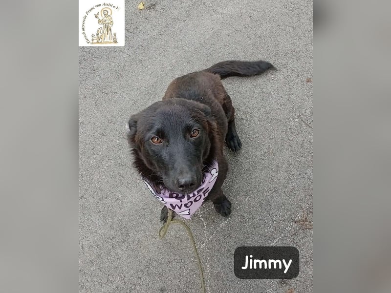 Jimmy – Aufgeben? Kam für ihn nie infrage!