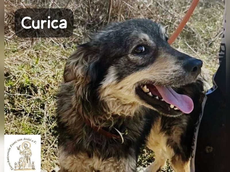 Curica – sucht Menschen, die ihr zeigen, wie sich Zuhause anfühlt!