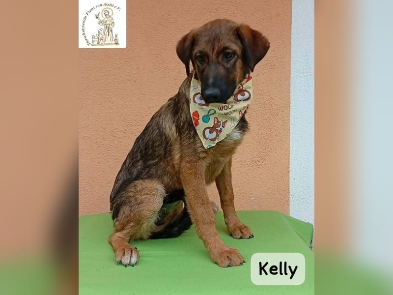 Kelly – Das Leben beginnt dort, wo Neugier auf Vertrauen trifft!