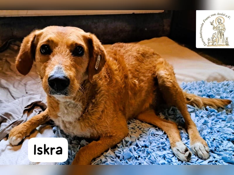 Iskra – Wenn Lebensmut Flügel bekommt!