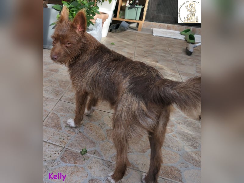 Kelly –  die Frohnatur