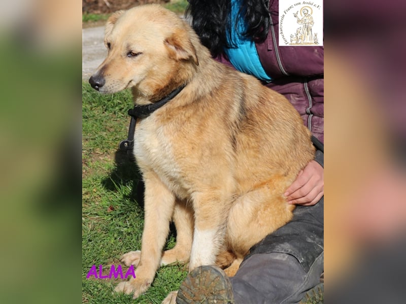 Alma – kleiner Sonnenschein