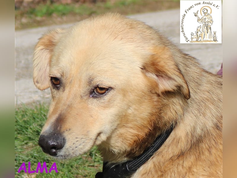 Alma – kleiner Sonnenschein