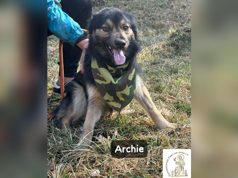 Archie – der Moment, in dem ein Hund dein Leben verändert!
