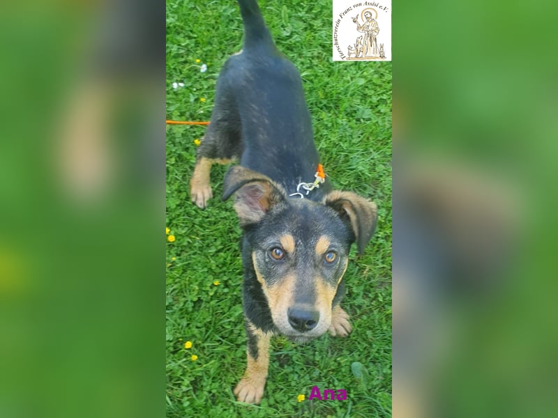 Ana – junges Mädchen, große Pläne!