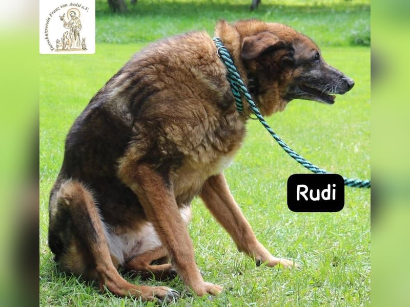Oma Rudi – Eine ruhige Seele sucht ihr letztes Glück!