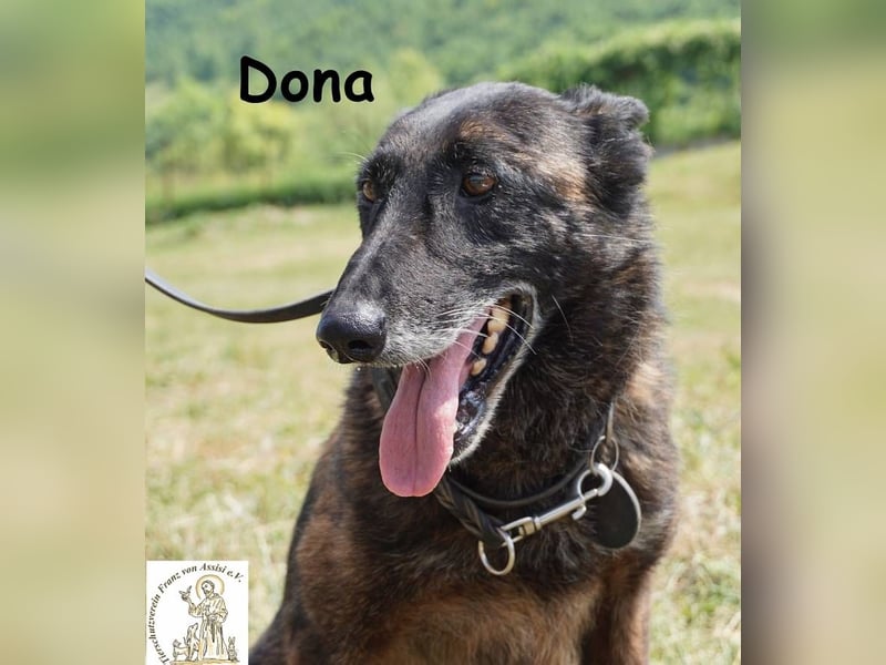 Dona – sucht ruhigen Hafen zum Seele baumeln lassen