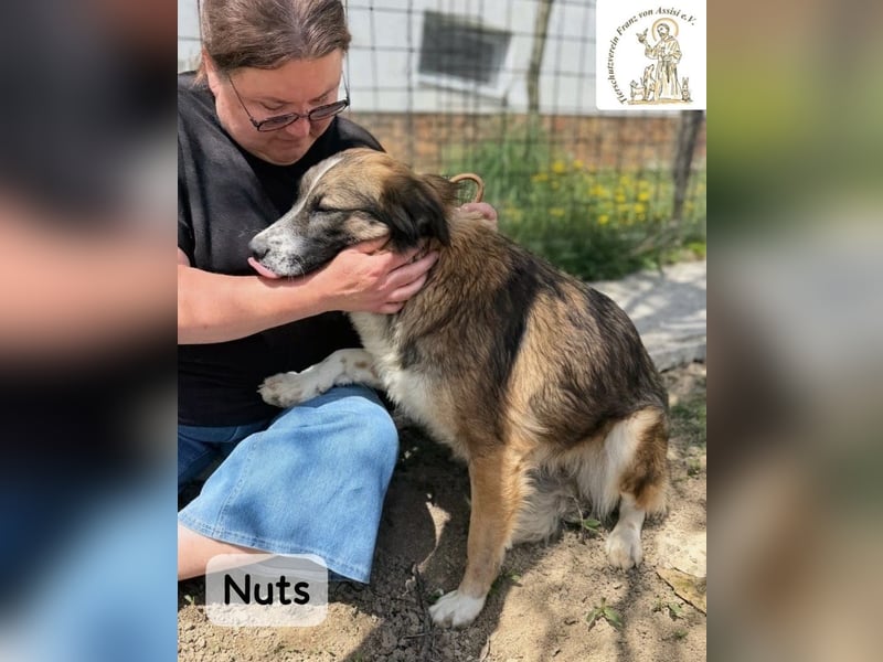 Nuts – manche Seelen tragen ihren Zauber ganz leise!