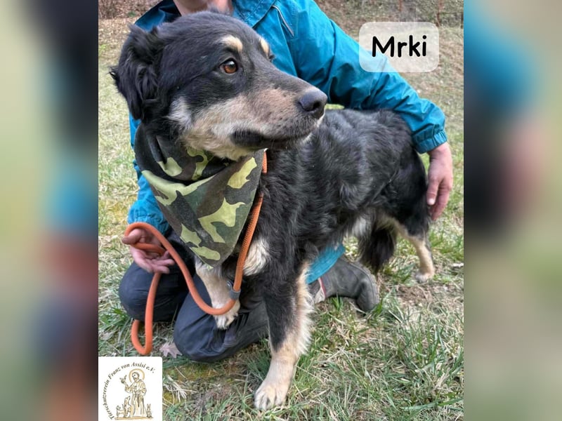 Mrki – ein sanfter Schatz mit großem Herzen!