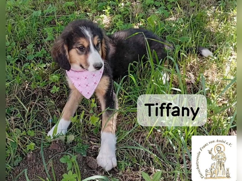 Tiffany – Man ist nie zu klein, um für jemanden die ganze Welt zu sein!
