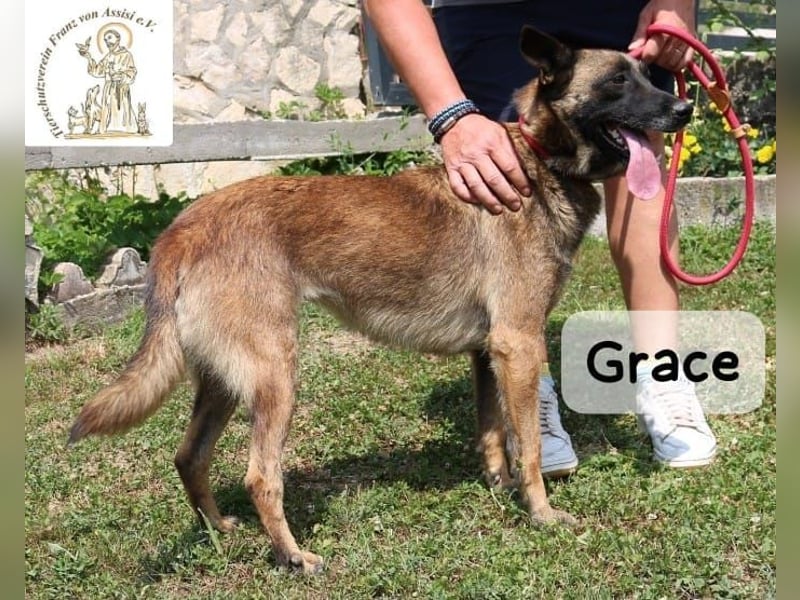 Grace – Köpfchen, Power und definitiv Pfeffer im Hintern!
