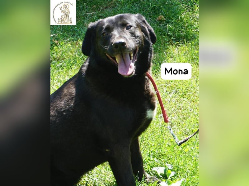 Mona – Die Lady mit dem gewissen Etwas!