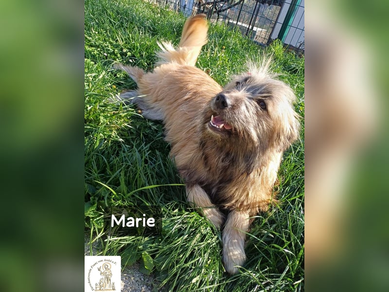 Marie – zu süß für diese Welt, aber kein bisschen aus Zucker!