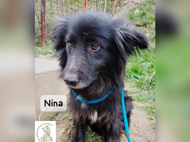 Nina – ein Platz zum Durchatmen gesucht!