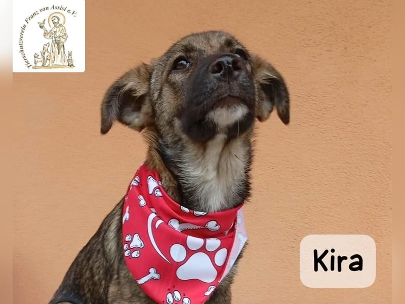 Kira – Warum nicht heute glücklich werden!
