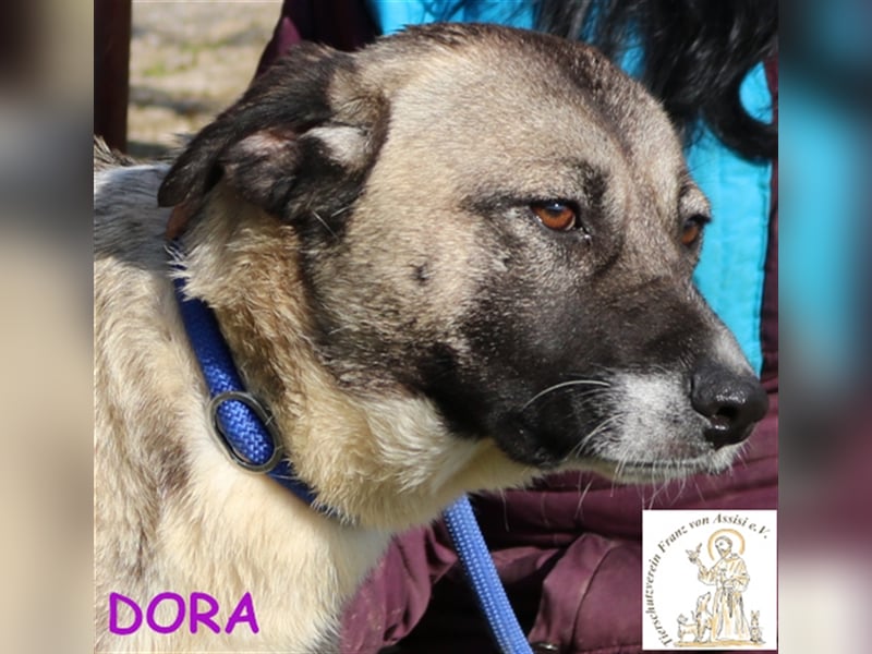 Dora – die junge Maus