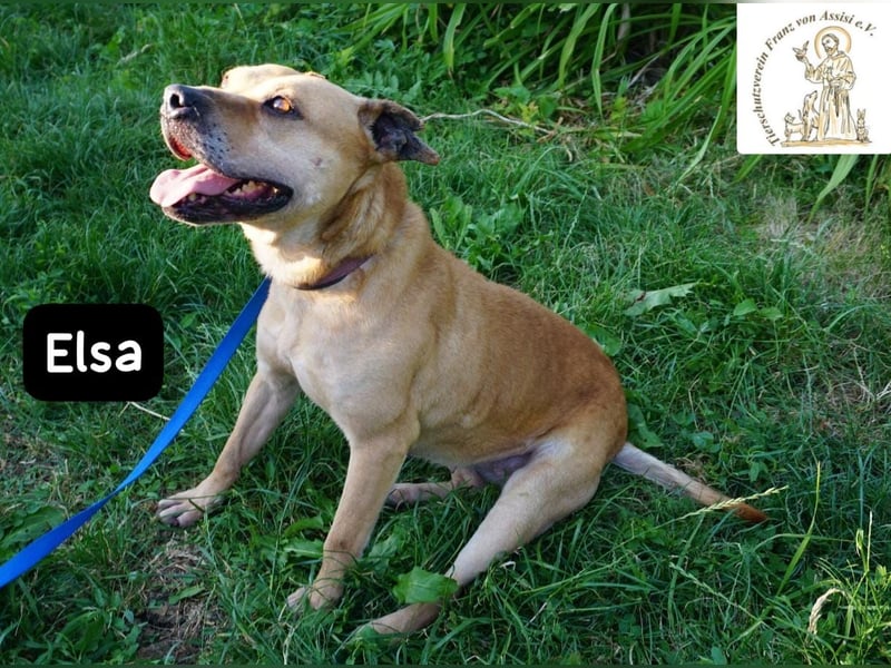 Elsa – Kuscheln, Freiheit und Abenteuer: Elsas Rezept fürs Glück!