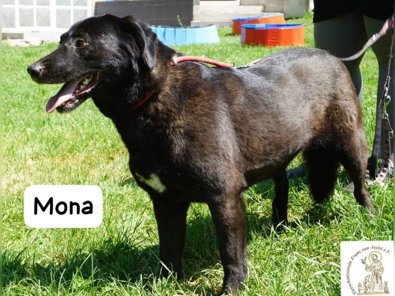 Mona – Die Lady mit dem gewissen Etwas!