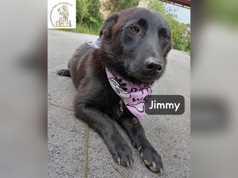 Jimmy – Aufgeben? Kam für ihn nie infrage!